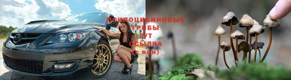 спиды Заволжье