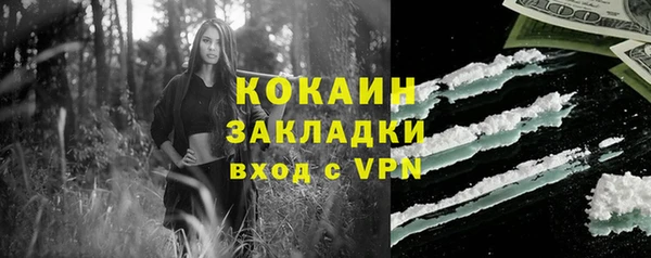 соль ск Заводоуковск