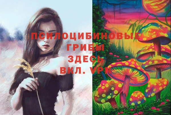 соль ск Заводоуковск