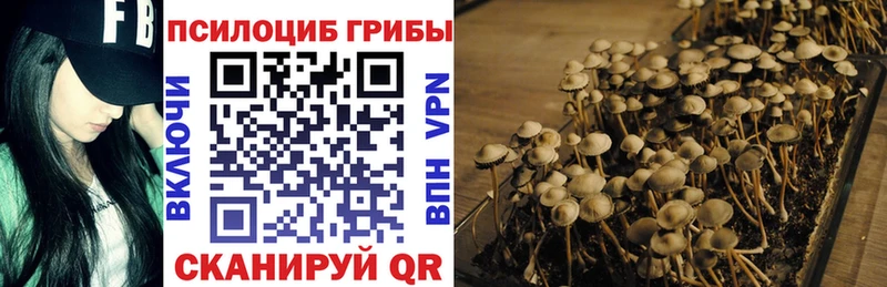 Галлюциногенные грибы ЛСД  Купить закладки  Заозёрск 